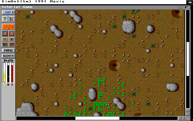 SimAnt (Amiga) screenshot: The main surface playfield (Hi-Res version)