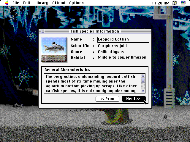 Aquazone (Macintosh) screenshot: Fish species information