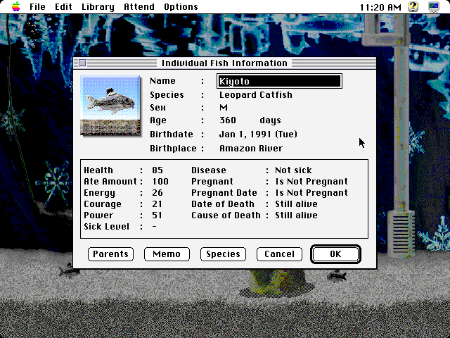 Aquazone (Macintosh) screenshot: Individual fish information