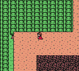 Quest: Brian's Journey (Game Boy Color) screenshot: In forest
