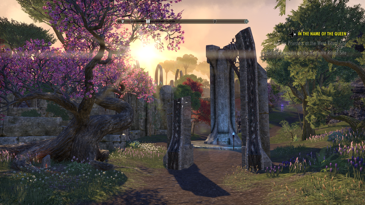 The Elder Scrolls Online: Tamriel Unlimited (Xbox One) screenshot: Auridon is the second largest of the Summerset Isles.