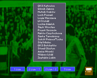 Liga Polska Manager '95 (Amiga) screenshot: All teams list