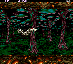 Saint Dragon (Arcade) screenshot: 2nd level start - In the caves