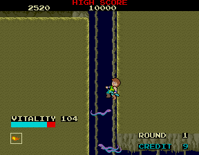 Dragon Buster (Arcade) screenshot: Flying snakes