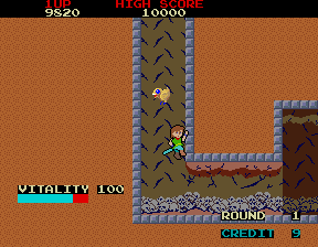 Dragon Buster (Arcade) screenshot: Little cute dangerous bird