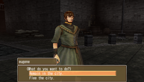 White Knight Chronicles: Origins (PSP) screenshot: You get to choose what you want to do.