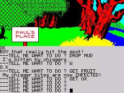 Scott Adams' Graphic Adventure #1: Adventureland (ZX Spectrum) screenshot: Paul's place
