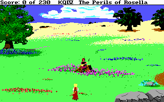 King's Quest IV: The Perils of Rosella (DOS) screenshot: SCI: A musician