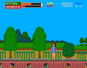 Wonder Momo (Arcade) screenshot: Done it.