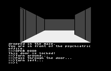 Asylum II (Atari 8-bit) screenshot: Roaming the hallways...
