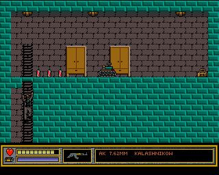 The Last Soldier (Amiga) screenshot: Only one tank is watching all those treasures