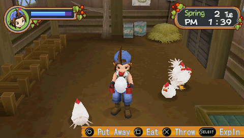 Harvest Moon: Hero of Leaf Valley (PSP) screenshot: Taking care of chickens
