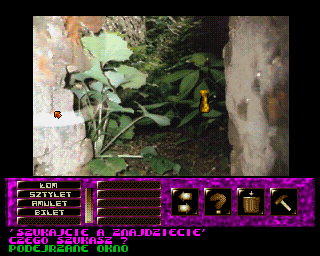 Skarb Templariuszy (Amiga) screenshot: Suspicious window