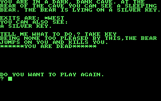 Castle of Skull Lord (Amstrad CPC) screenshot: Oops...I do not think it was a good idea to take that key.