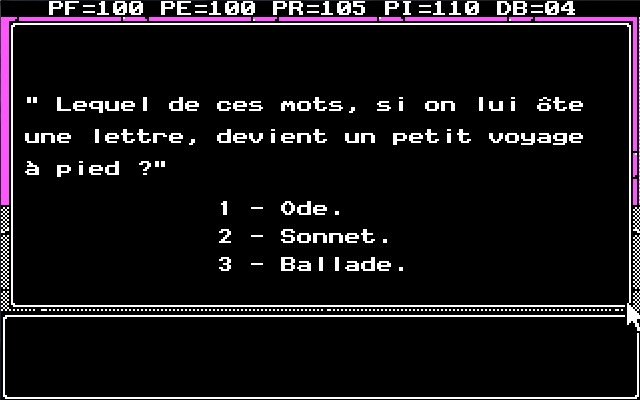Le Labyrinthe de Morphintax (DOS) screenshot: The Boret's question