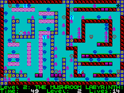 Deadly Labyrinth of Lord Xyrx (ZX Spectrum) screenshot: Level 2