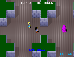 The Return of Ishtar (Arcade) screenshot: Which way?