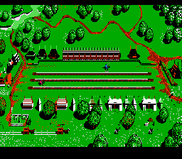 Defender of the Crown (NES) screenshot: Tournament.
