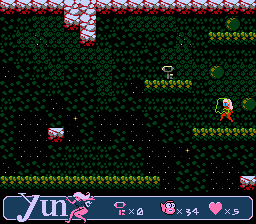 Yun (NES) screenshot: The invincible ghost guarding a key.