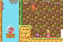 Super Mario Advance (Game Boy Advance) screenshot: In cave