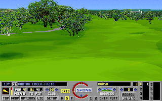 Links: Championship Course - Barton Creek (DOS) screenshot: Forward replay