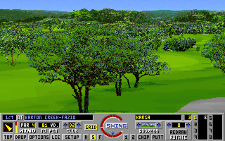 Links: Championship Course - Barton Creek (DOS) screenshot: Reverse replay