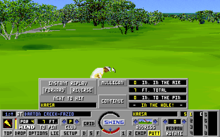 Links: Championship Course - Barton Creek (DOS) screenshot: In the hole!