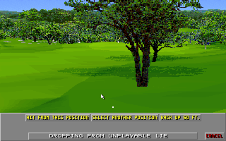 Links: Championship Course - Barton Creek (DOS) screenshot: Setting the ball position