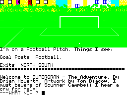 Super Gran: The Adventure (ZX Spectrum) screenshot: On a football pitch
