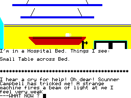 Super Gran: The Adventure (ZX Spectrum) screenshot: In the hospital