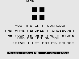 Dungeons of Doom (ZX81) screenshot: Taking damage