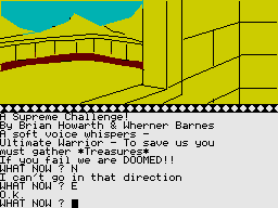Feasibility Experiment (ZX Spectrum) screenshot: Looking out the window