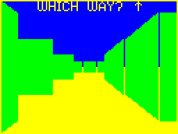 Sultan's Maze (Dragon 32/64) screenshot: Lots of corridors to follow