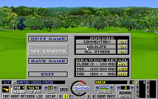 Links: Championship Course - Barton Creek (DOS) screenshot: In game options