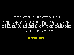 The Wild Bunch (ZX Spectrum) screenshot: Your situation