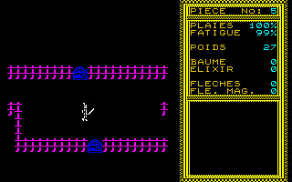 Temple of Apshai Trilogy (Thomson TO) screenshot: Some doors in the Upper Reaches of Apshai