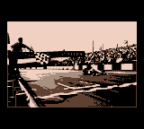 F1 World Grand Prix II for Game Boy Color (Game Boy Color) screenshot: Grand prix mode... some ending images.