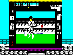 World Cricket (ZX Spectrum) screenshot: He hit the ball