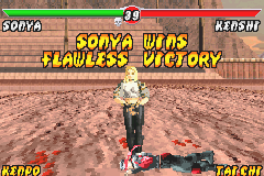 Mortal Kombat: Deadly Alliance (Game Boy Advance) screenshot: Flawless victory!