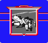 NFL Blitz (Game Boy Color) screenshot: A very short animation.