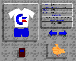 Mistrz Polski '96 (Amiga) screenshot: Ads selection