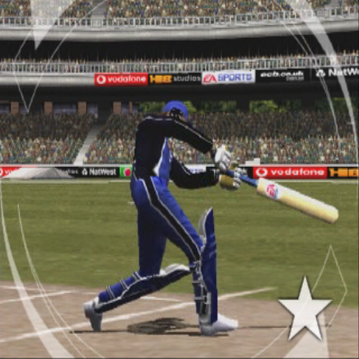 Cricket 2002 (PlayStation 2) screenshot: After the usual logos the game runs an optional animated sequence