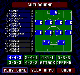 Championship Soccer '94 (SNES) screenshot: Your squad