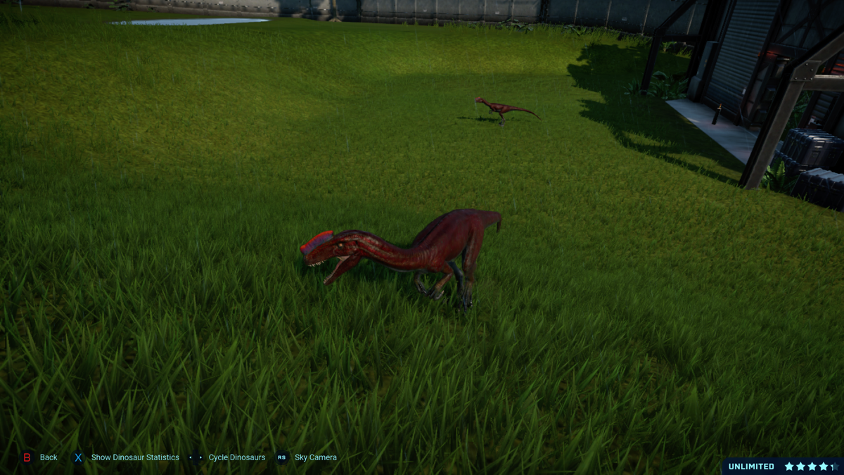 Jurassic World: Evolution - Carnivore Dinosaur Pack (Xbox One) screenshot: Proceratosaurus