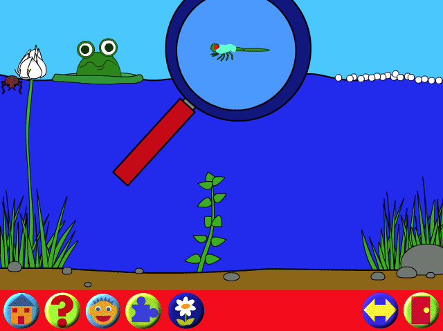 Learning Land 1: At The Playground (Windows) screenshot: Not all the creatures are on screen at the same time. Occasionally something will swim or fly by, like this dragon fly