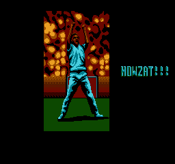 International 2024 cricket nes