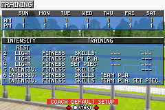 Premier Manager 2003-04 (Game Boy Advance) screenshot: Training the players