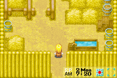 Harvest Moon: More Friends of Mineral Town (Game Boy Advance) screenshot: Inside an empty barn
