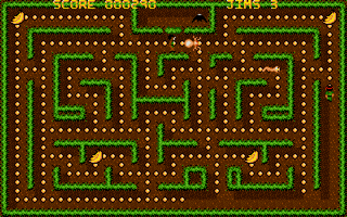 Jungle Jim (Amiga) screenshot: Collecting gold