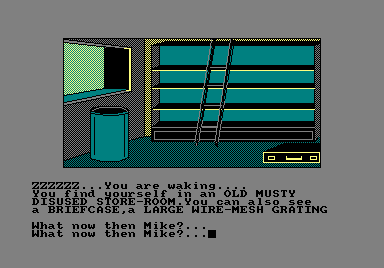 Screenshot of Spy-Trek Adventure (Amstrad CPC, 1986) - MobyGames